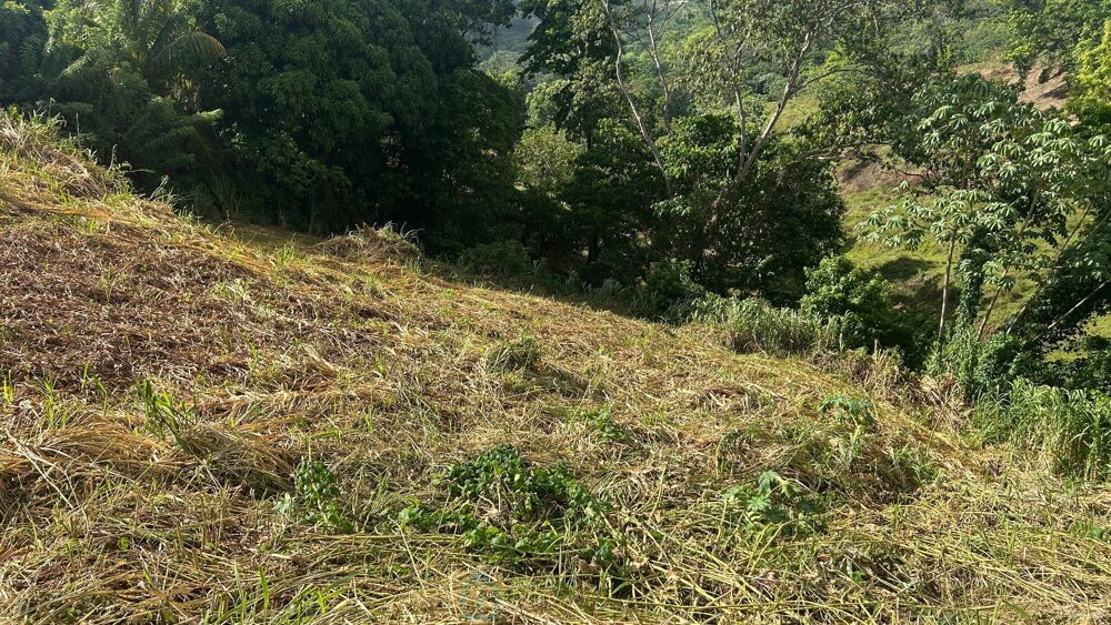Vente Terrain Terrain constructible Riviere salee