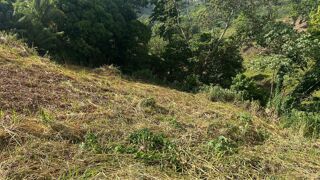 Vente Terrain Terrain constructible Riviere salee