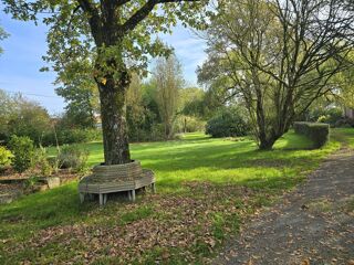  Terrain  vendre 11 pices 9006 m