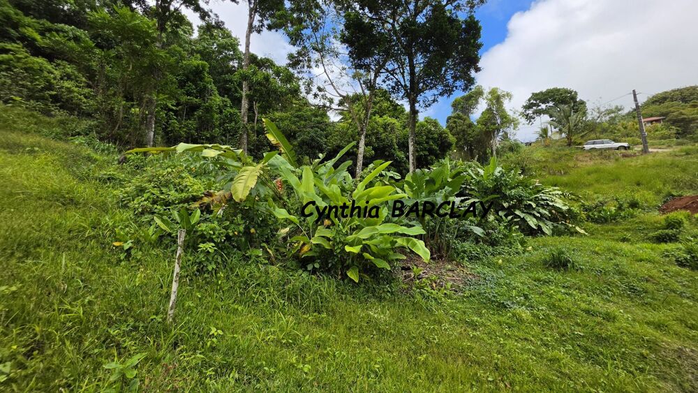 Vente Terrain Terrain constructible Sainte luce