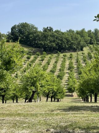  Maison � vendre 1 pi�ce 60 m�