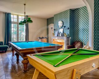  Propri�t�/ch�teau � vendre 15 + pi�ces 806 m�