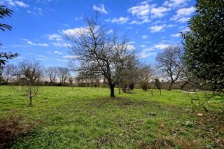  Maison � vendre 7 pi�ces 234 m�