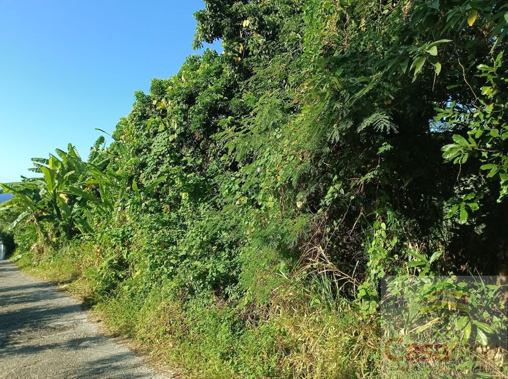 Vente Terrain Terrain Sainte rose