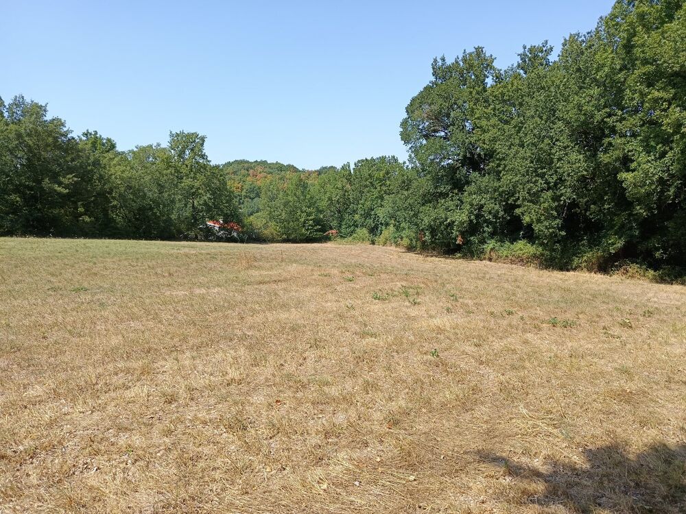 Vente Terrain Terrain constructible Saix