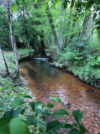  Propri�t�/ch�teau � vendre 15 + pi�ces 500 m�