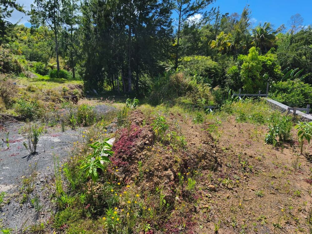 Vente Terrain Terrain Petite ile