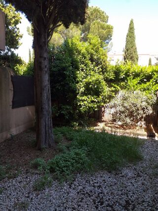  Appartement � louer 1 pi�ce 25 m�