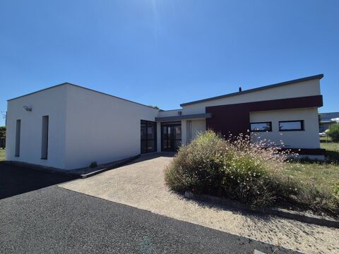 Locaux d'activit&eacute; 255000 41400 Montrichard