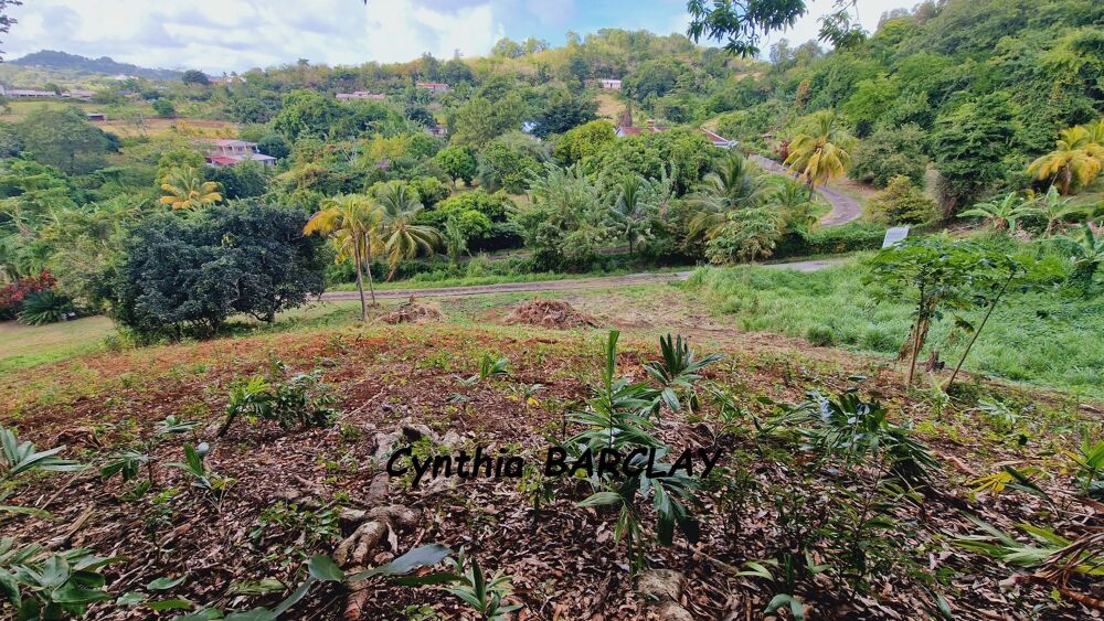 Vente Terrain Terrain Le francois