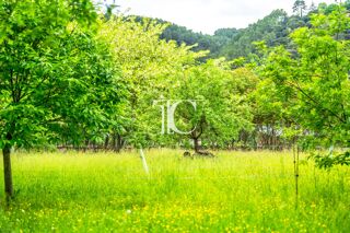  Terrain � vendre 900 m�