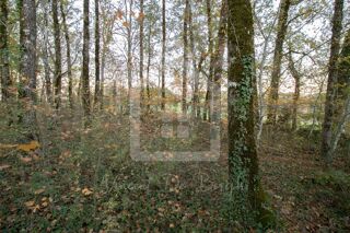  Terrain � vendre 5500 m�