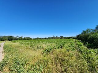  Terrain à vendre 54562 m²