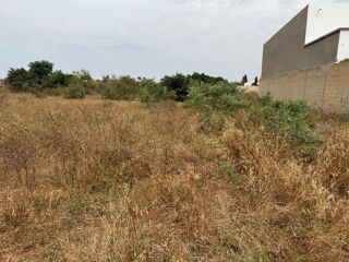  Terrain � vendre 1000 m� Nguerigne