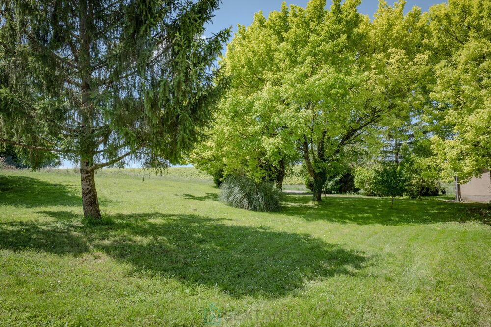 à vendre  Villa Segonzac (16130)