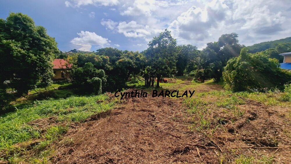 Vente Terrain Terrain Ducos