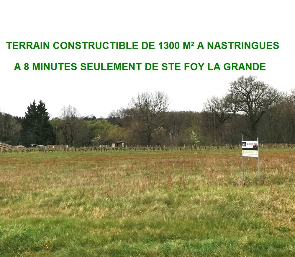 Vente Terrain Terrain constructible Nastringues