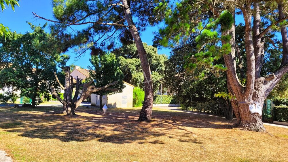 Vente Appartement Appartement en résidence Dolus d'oleron