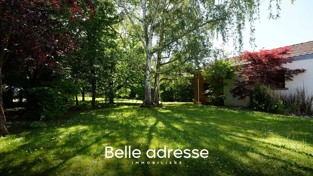 à vendre  Villa Molsheim (67120)