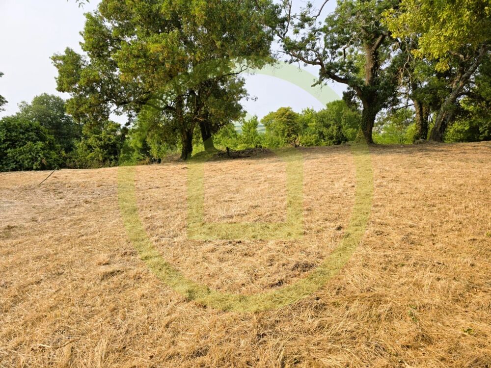 Vente Terrain Terrain Saint bonnet sur gironde