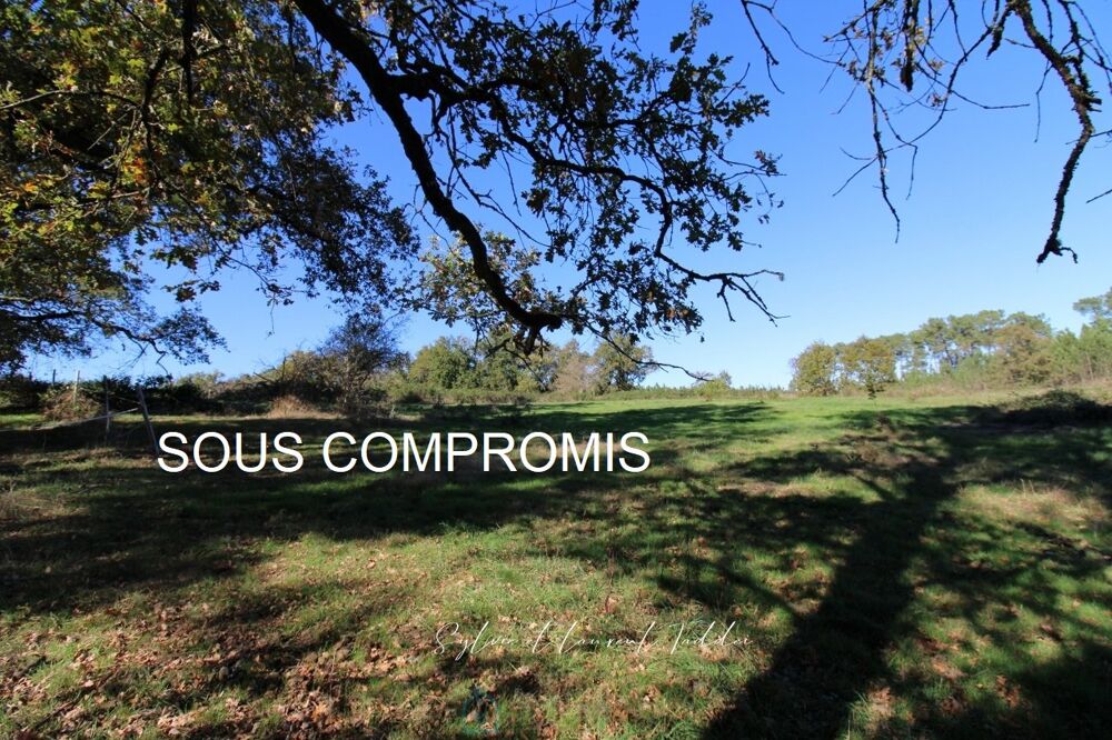 Vente Maison Propriété Montguyon