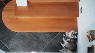  Villa  vendre 7 pices 246 m