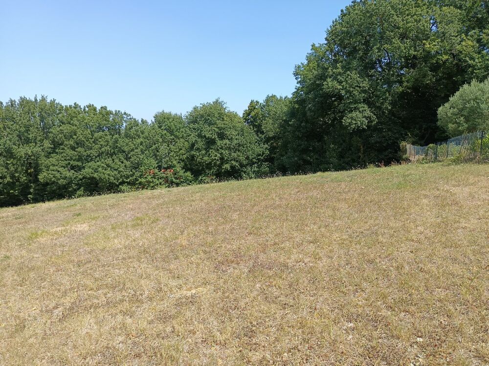 Vente Terrain Terrain constructible Saix