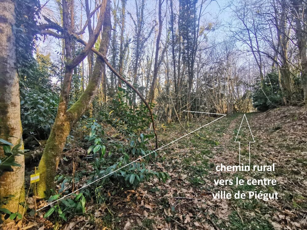 Vente Terrain Terrain Piegut pluviers