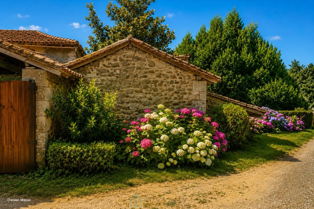 à vendre  Villa Saint-Martin-le-Pin (24300)