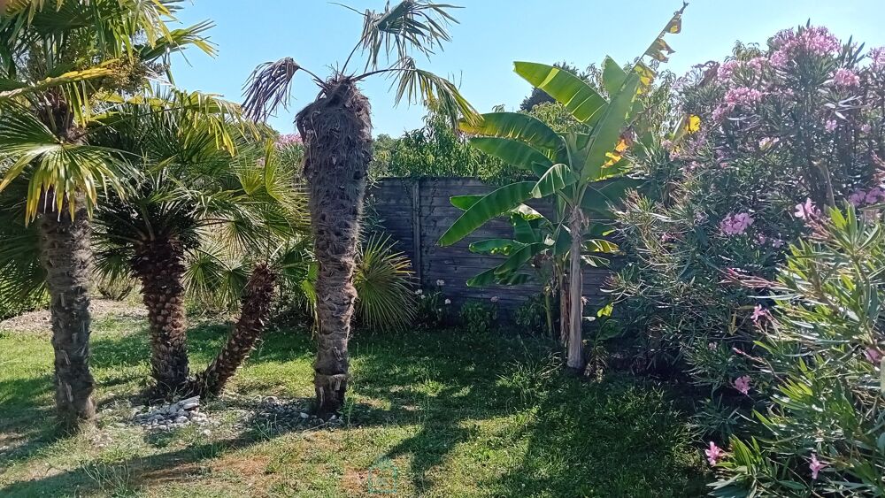 � vendre  Maison Saint-Sulpice-de-Royan (17200)