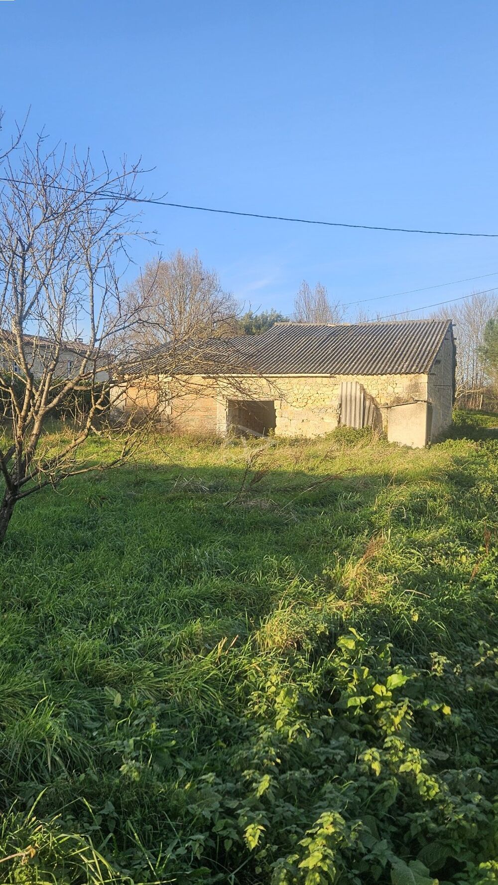 Vente Maison Grange Saint genes de fronsac