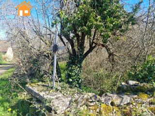  Terrain à vendre 4567 m²
