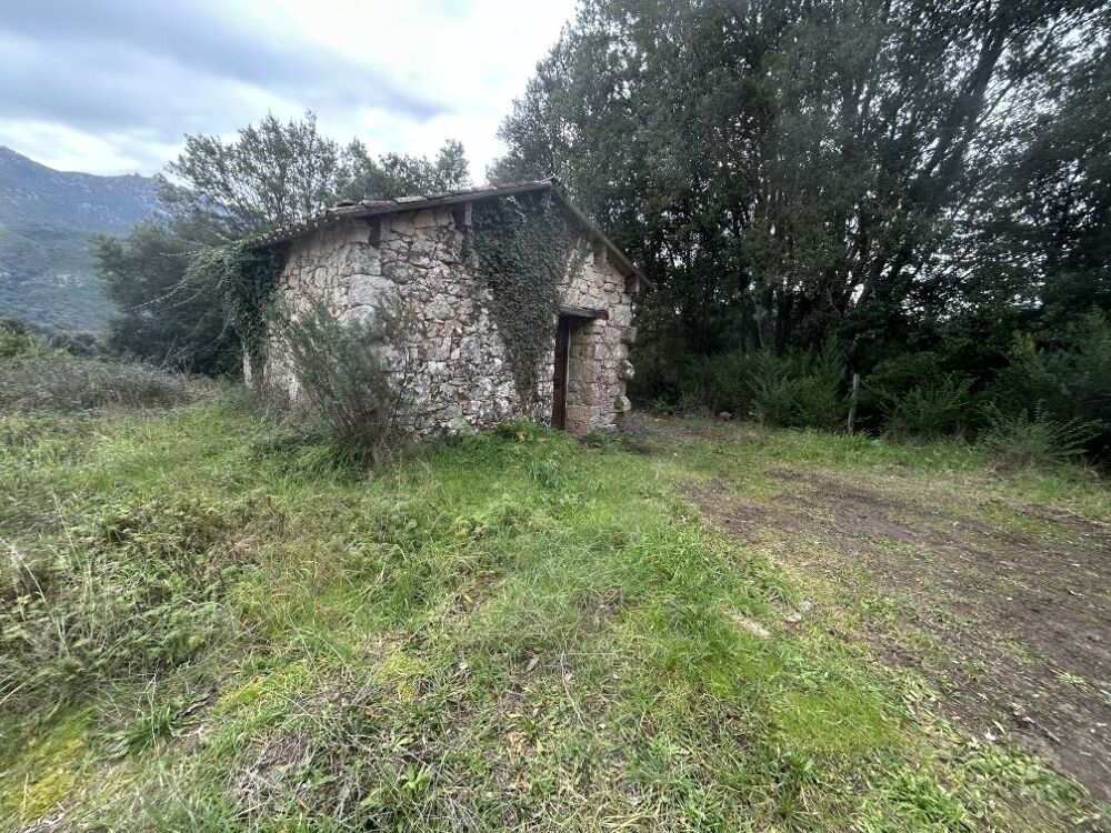 Vente Terrain Terrain Vero