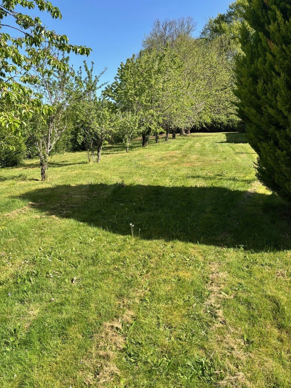Vente Maison Ensemble Immobilier Rilhac treignac