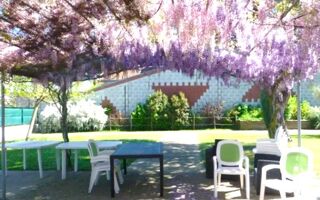  Appartement � vendre 1 pi�ce 19 m�