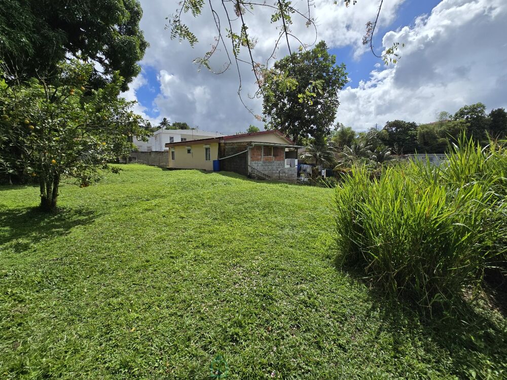 Vente Maison Maison Le morne rouge