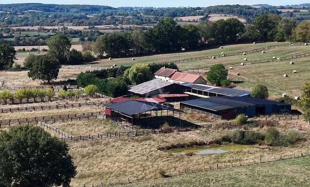 Haras / Equestre