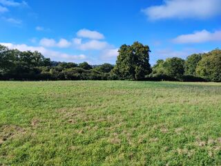  Terrain  vendre 8456 m