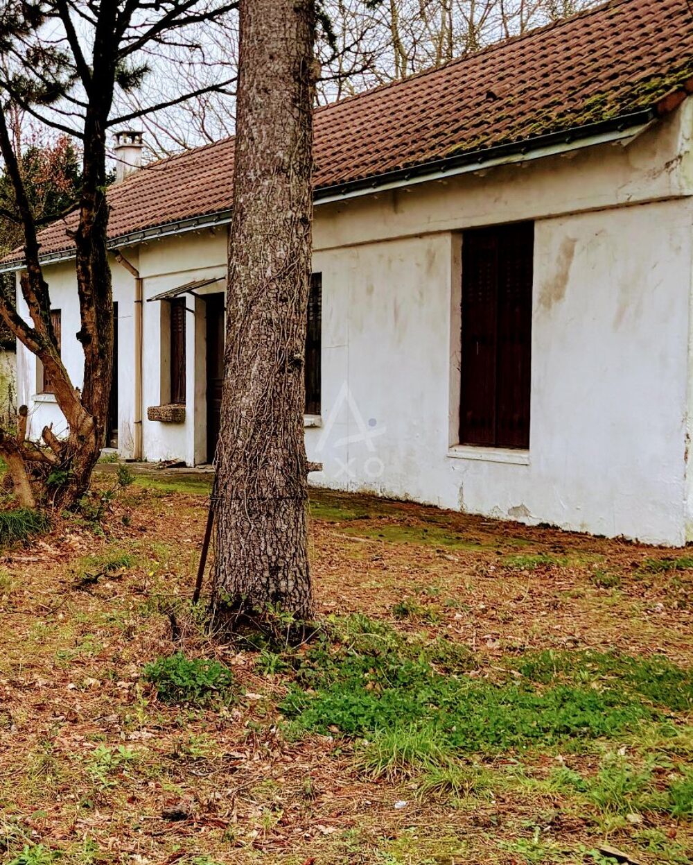 Vente Terrain Terrain constructible Reze