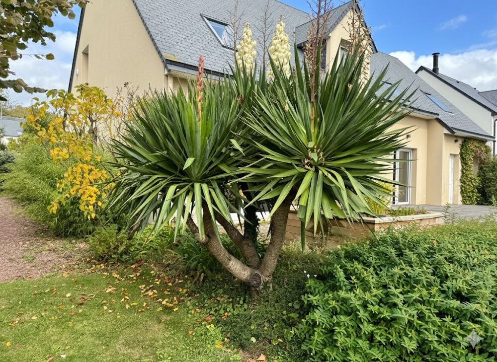 Vente Maison Maison Saint jean le thomas