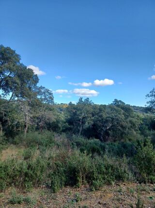  Terrain à vendre 26900 m²