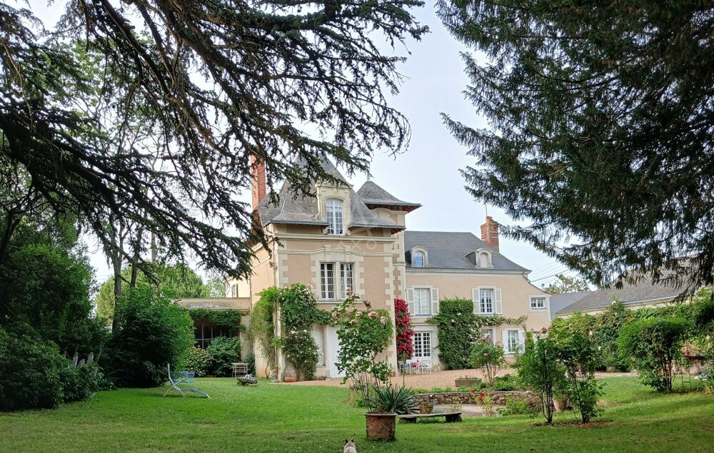 Vente Maison Demeure de ville et village Chateauneuf sur sarthe