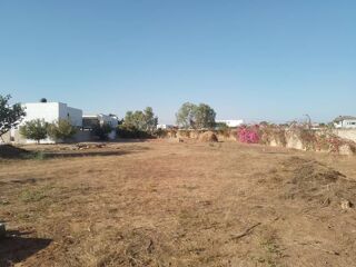  Terrain � vendre 808 m� Saly