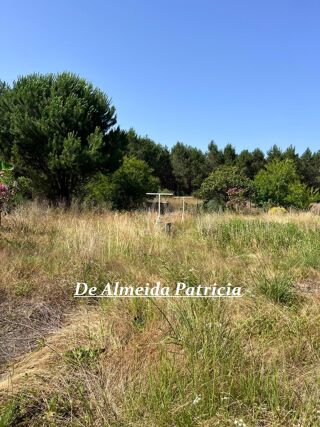  Maison � vendre 11 pi�ces 336 m�