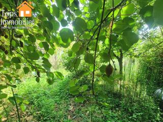  Terrain à vendre 503 m²