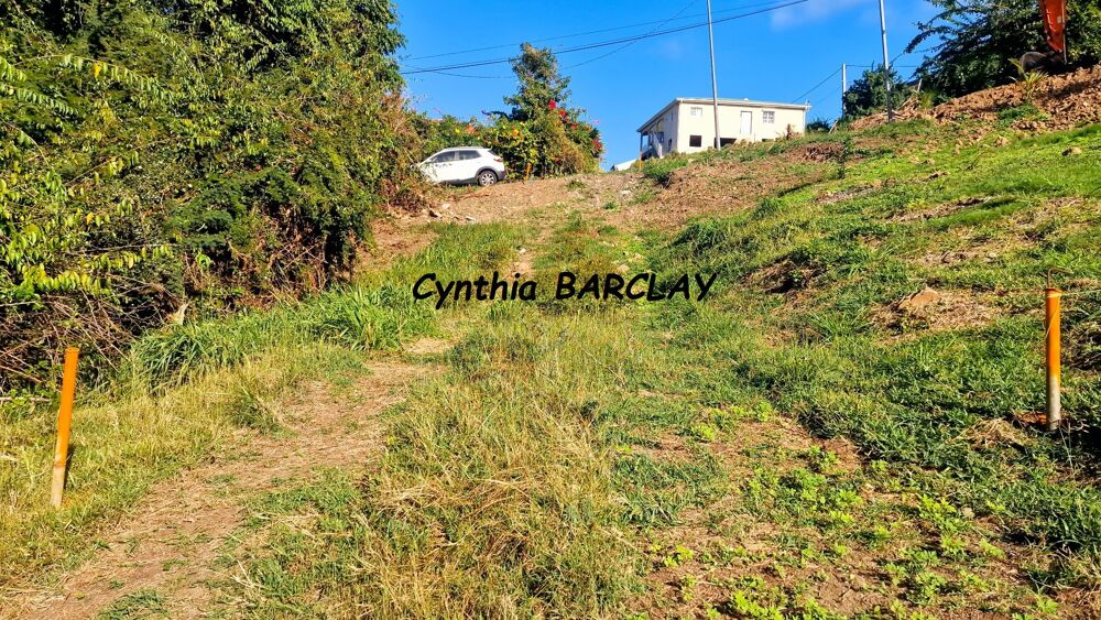 Vente Terrain Terrain constructible Le marin