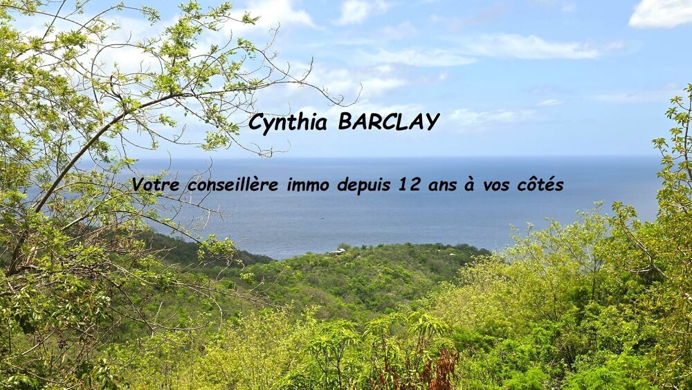 Vente Maison Villa d'architecte Le carbet