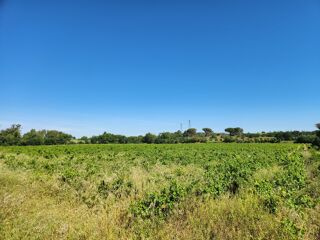  Terrain à vendre 54562 m²