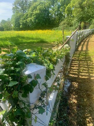  Maison � vendre 15 + pi�ces 440 m�