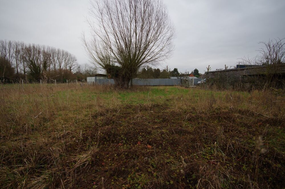Vente Terrain Terrain constructible Estrun